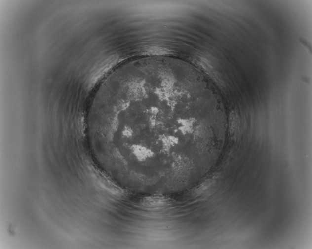 X0000103130351200808221159