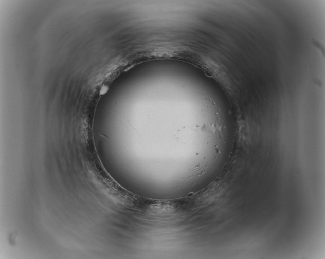 X0000103130354200808221159