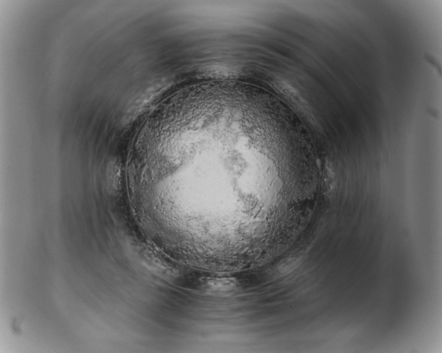 X0000103130355200808221159
