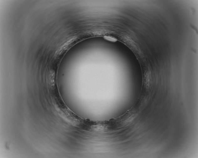 X0000103130356200808221159