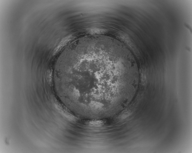 X0000103130357200808221159
