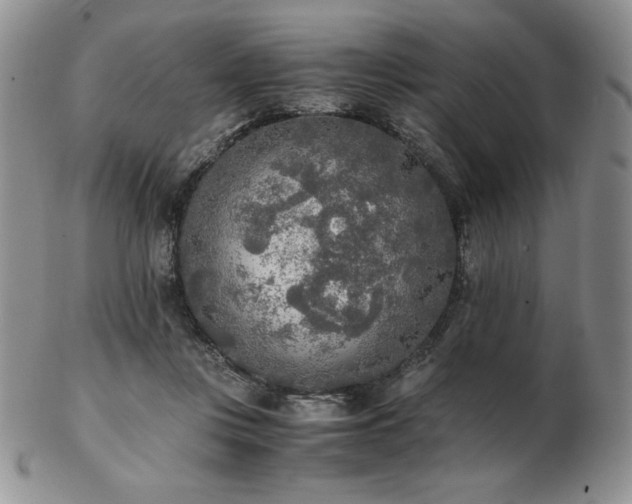 X0000103130359200808221159
