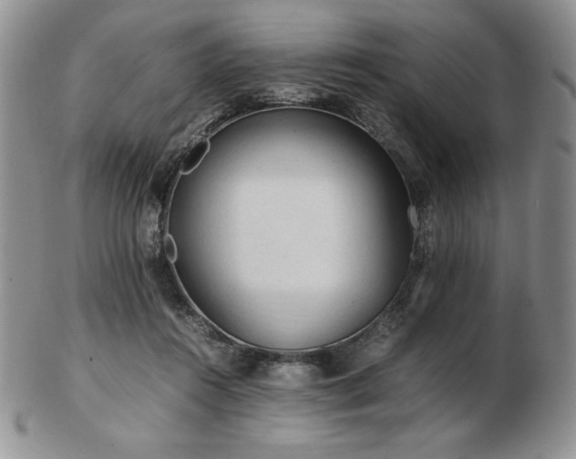 X0000103130360200808221159