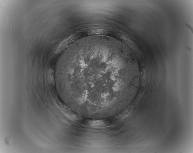 X0000103130361200808221159