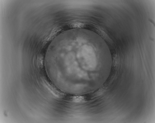 X0000103130363200808221159