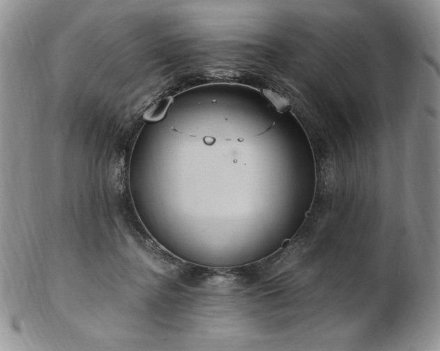X0000103130364200808221159