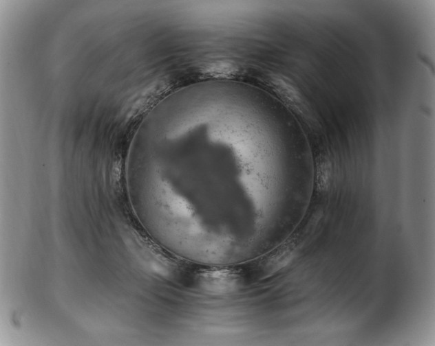 X0000103130365200808221159
