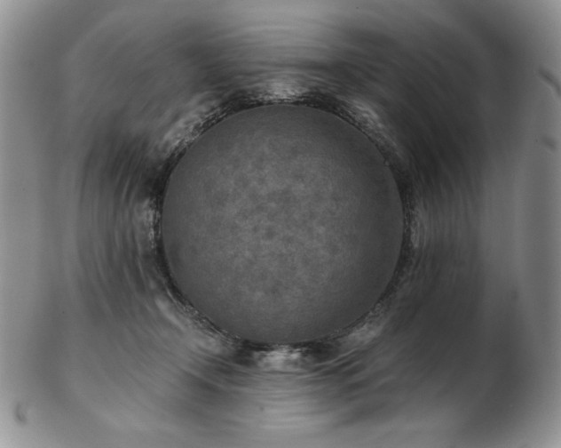 X0000103130366200808221159