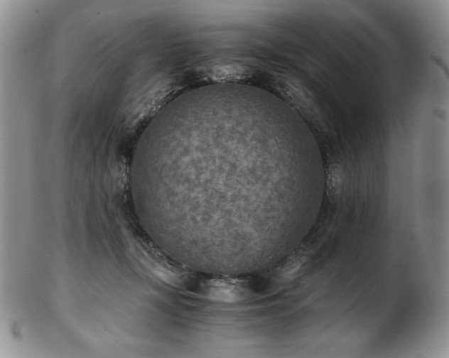 X0000103130367200808221159