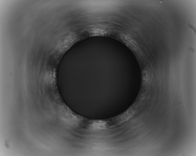 X0000103130369200808221159