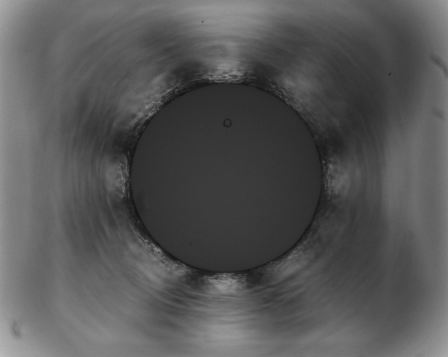 X0000103130370200808221159