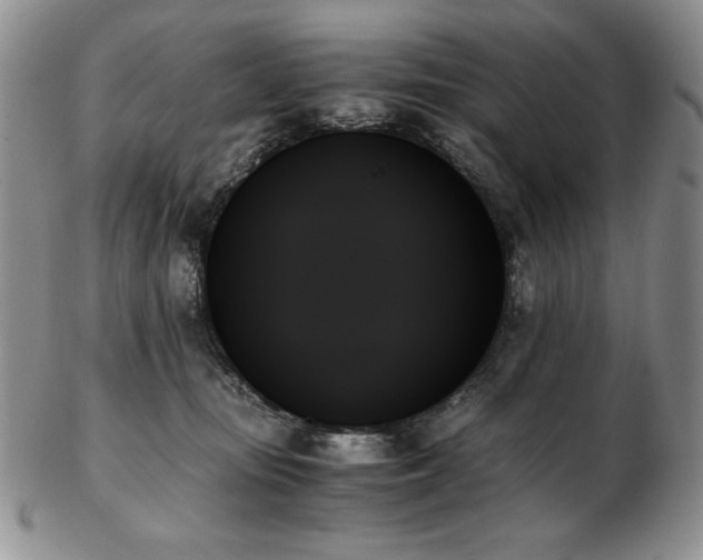 X0000103130371200808221159