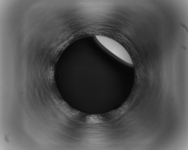 X0000103130372200808221159