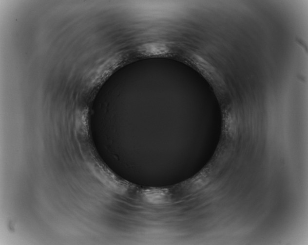 X0000103130373200808221159