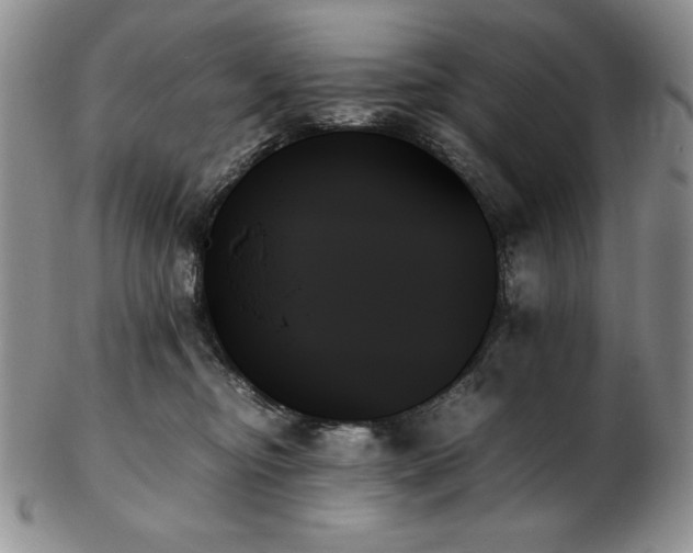 X0000103130374200808221159