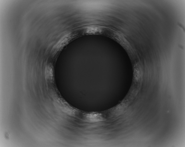 X0000103130375200808221159