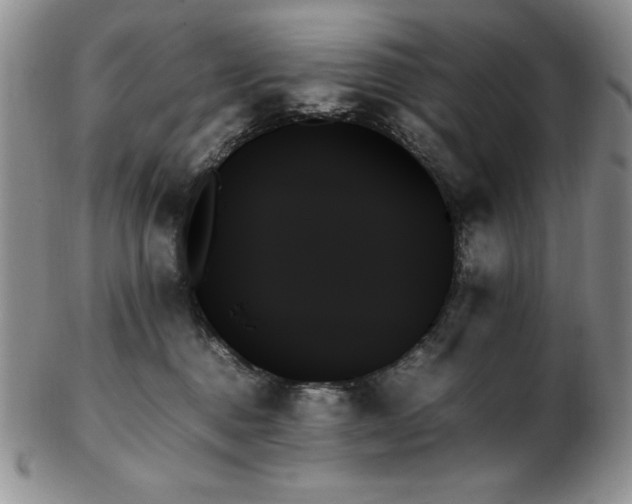 X0000103130376200808221159
