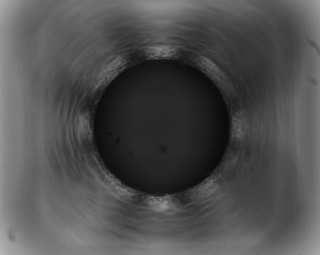 X0000103130377200808221159