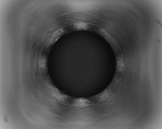 X0000103130379200808221159
