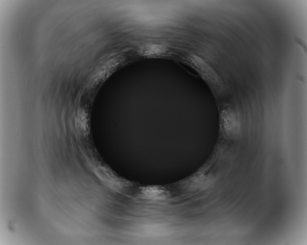 X0000103130380200808221159