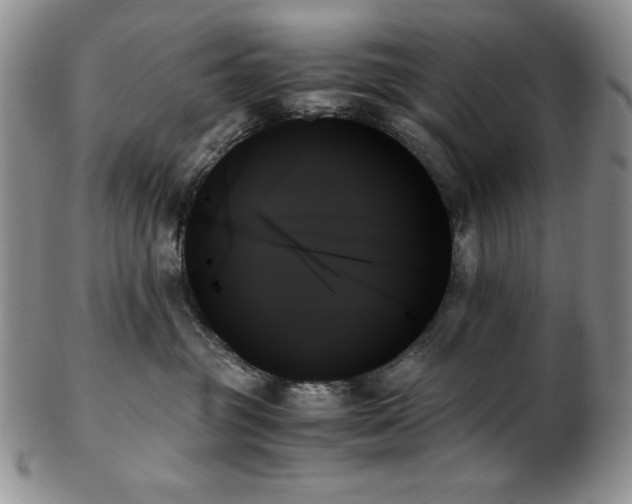X0000103130381200808221159