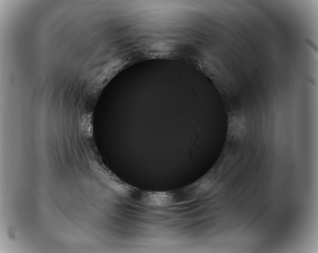 X0000103130383200808221159