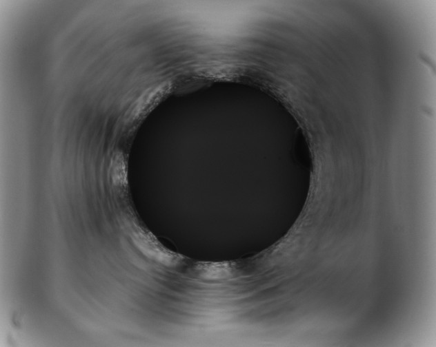 X0000103130384200808221159