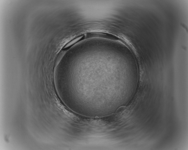 X0000103130385200808221159