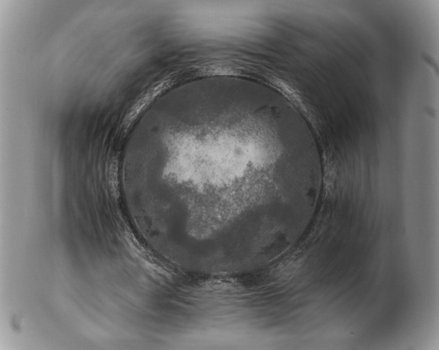 X0000103130386200808221159