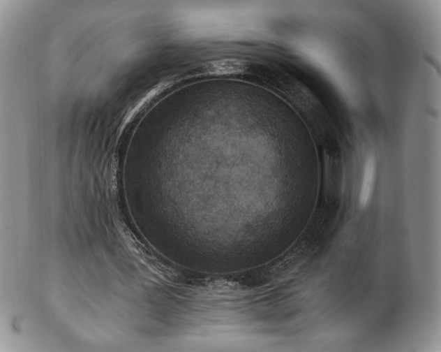 X0000103130387200808221159