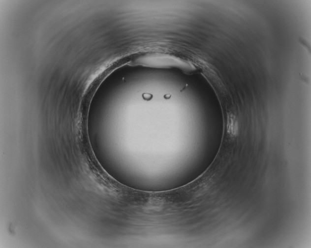 X0000103130388200808221158