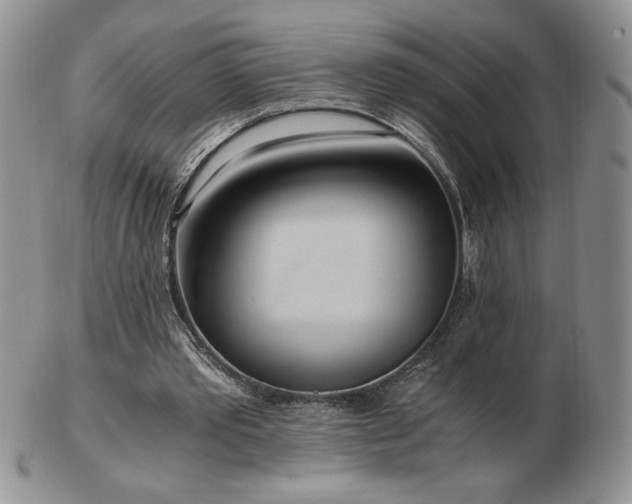 X0000103130389200808221158
