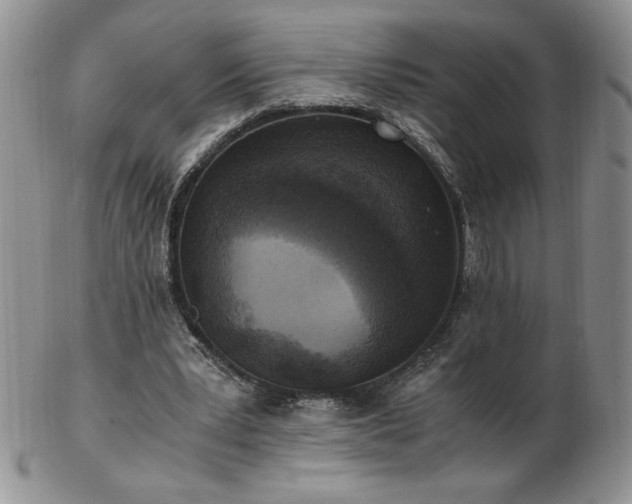X0000103130391200808221158