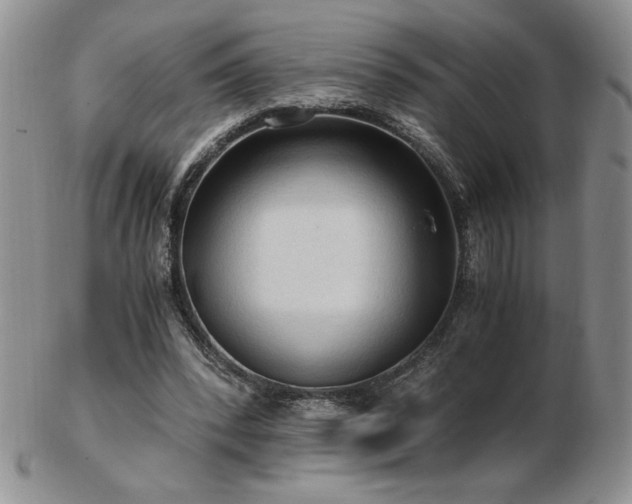 X0000103130392200808221158