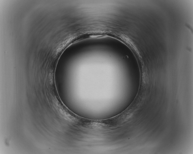 X0000103130393200808221158