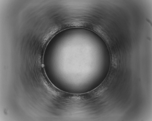 X0000103130394200808221158