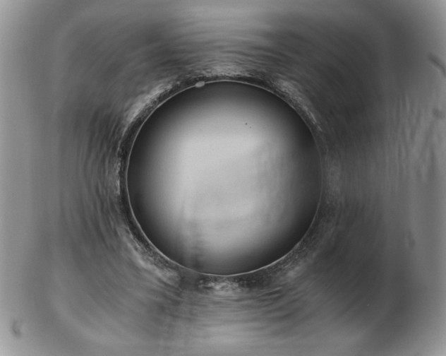 X0000103130395200808221158