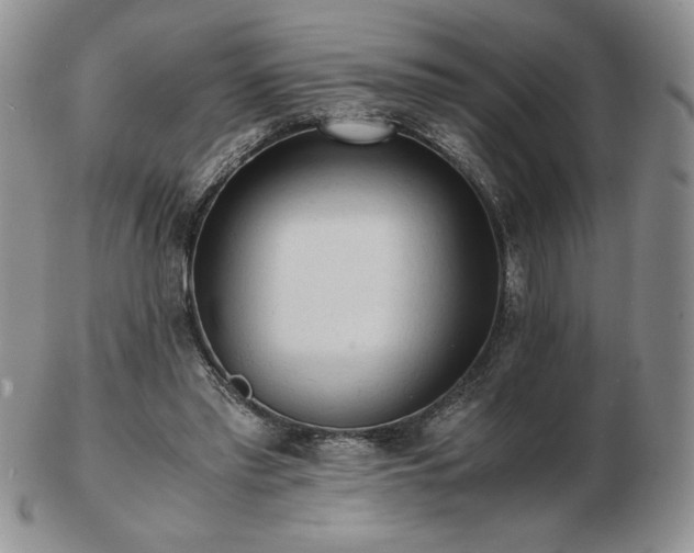 X0000103130397200808221158