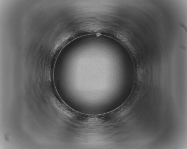X0000103130399200808221158