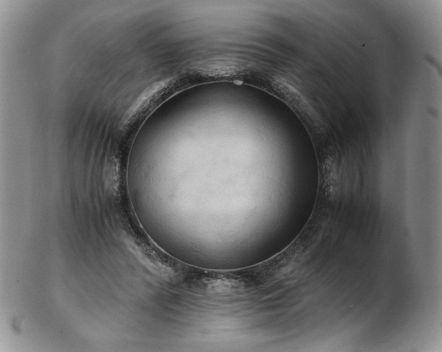 X0000103130400200808221158
