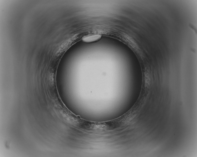 X0000103130401200808221158