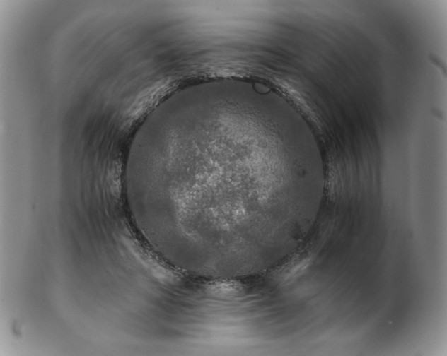 X0000103130402200808221158