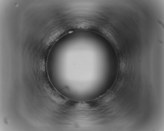 X0000103130403200808221158