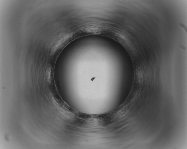 X0000103130404200808221158