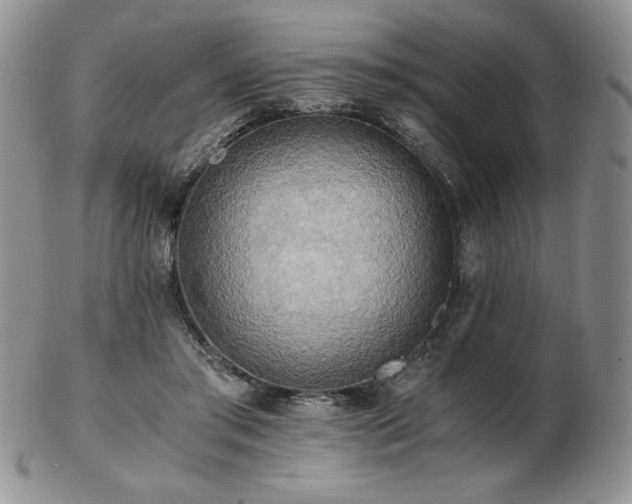 X0000103130405200808221158