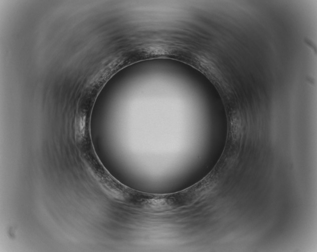 X0000103130406200808221158