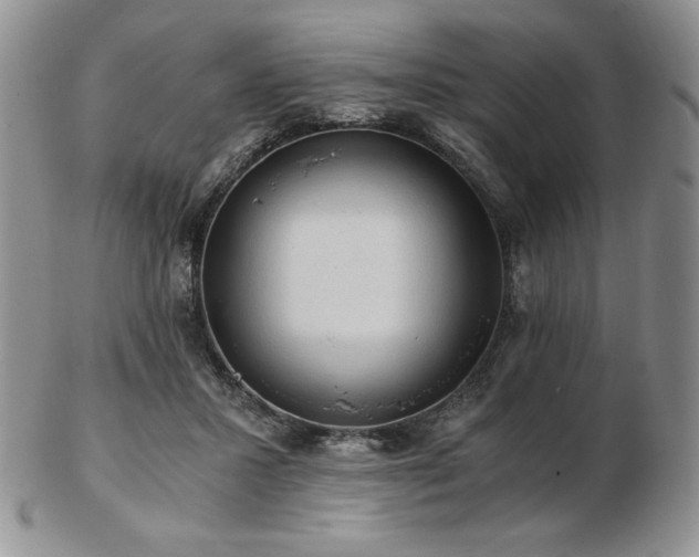 X0000103130407200808221158