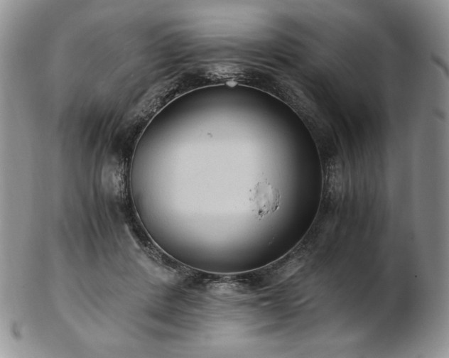 X0000103130408200808221158