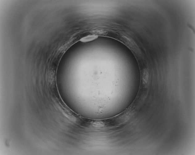 X0000103130409200808221158