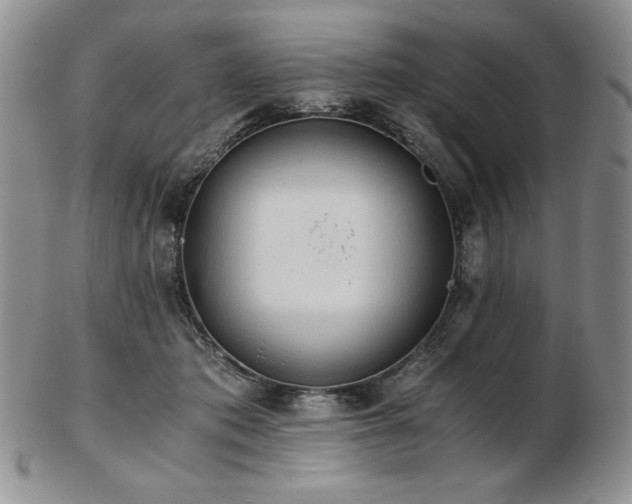 X0000103130413200808221158